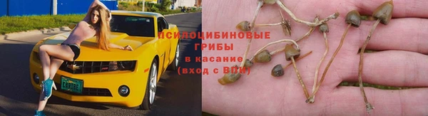 молекула духа Абаза