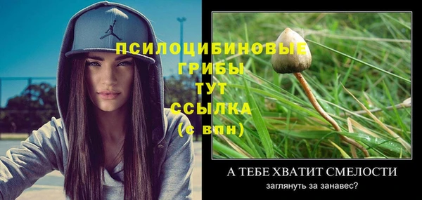 молекула духа Абаза