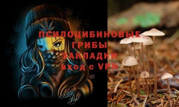 скорость Абинск