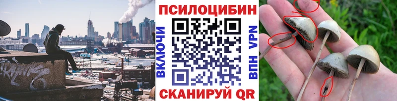 omg онион  Трубчевск  Псилоцибиновые грибы ЛСД 